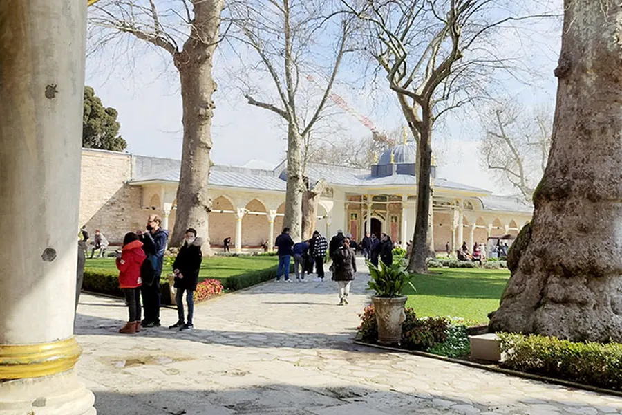 Plane trees in a courtyard of Topkapı Palace