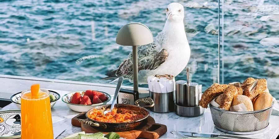 Bosphorus Breakfast Cruise – Morning Istanbul Yacht Tour