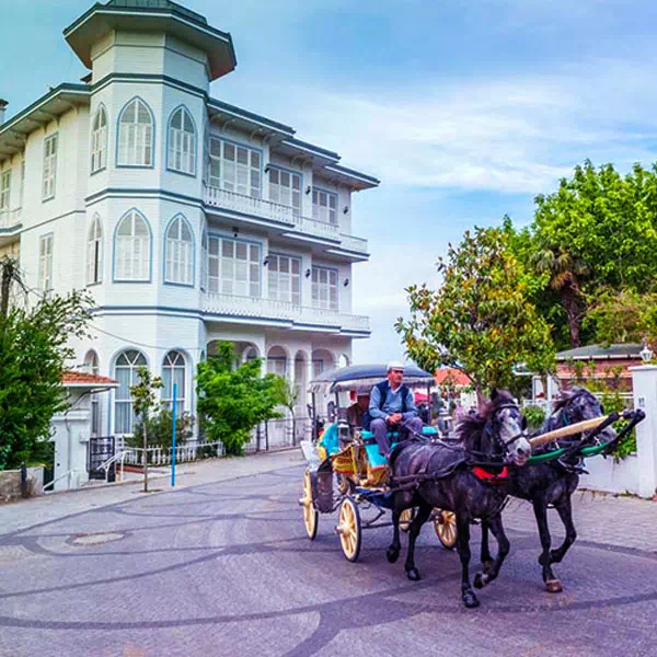 Тур по Стамбульским Принцевым островам