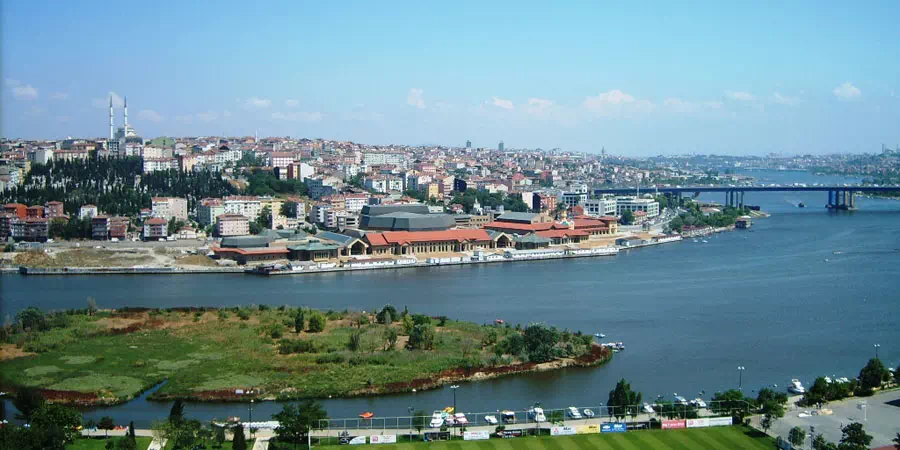 Bosphorus Cruise Istanbul and Dolmabahce Palace Tour