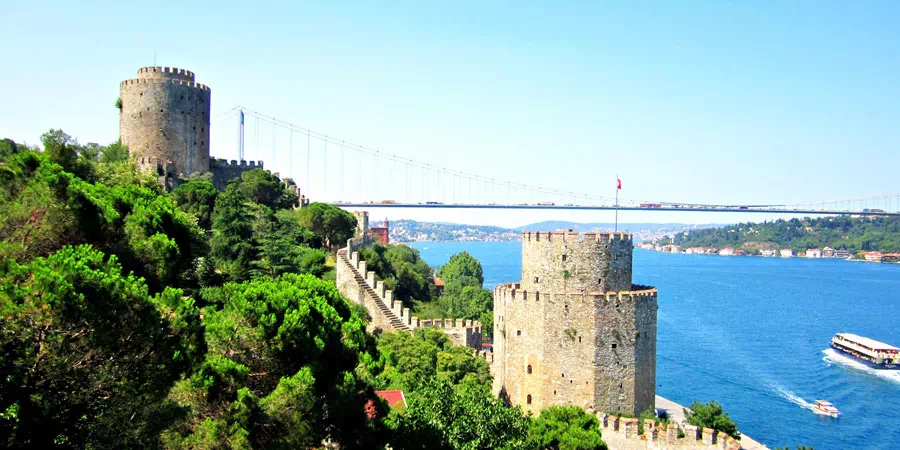 Bosphorus Cruise Istanbul and Dolmabahce Palace Tour