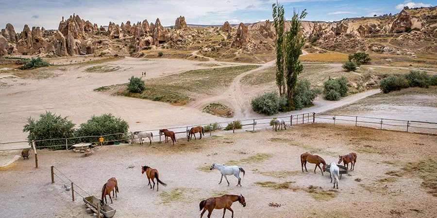 Cappadocia Tours