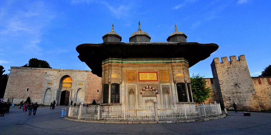 Tour de Estambul a Sultanahmet y crucero con cena por el Bósforo con noche turca