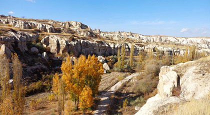 Zemi Valley